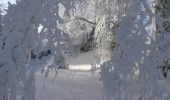 Randonnée Raquettes à neige Léoncel - Le Grand Echaillon - Les Crêtes de la Sausse - Photo 1