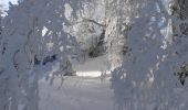 Percorso Racchette da neve Léoncel - Le Grand Echaillon - Les Crêtes de la Sausse - Photo 1