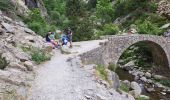 Trail Walking Queralbs - Nuria xanascat 250723 - Photo 7