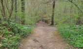 Trail Walking Ciney - Chapois 150425 - Photo 9