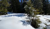 Randonnée Raquettes à neige Vaulnaveys-le-Haut - Lac Achard - Photo 18