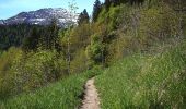 Tocht Te voet Courmayeur - (SI F07) Rifugio Elisabetta - Courmayeur - Photo 2