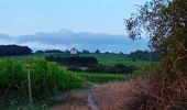 Randonnée Marche Rochefort-sur-Loire - Rochefort sur Loire - Photo 14