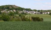 Percorso A piedi Ruppach-Goldhausen - Themenweg Ton blau - Photo 4