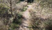 Trail Walking Nerja - Parking Cañada real - Peñón del Fraile- Playa Cañuelos - Photo 7