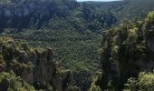 Randonnée Marche Saint-Pierre-des-Tripiers - Les corniches du Méjean (Jonte) et du Tarn au départ de Cassagnes - Photo 18