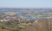 Trail Walking Saint-Germain-au-Mont-d'Or - St Germain au mont d'Or  - Photo 10