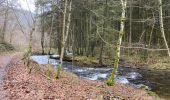 Tocht Stappen Houffalize - Houffalize 24 Km - Photo 19