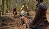 Trail Horseback riding Bastogne - Livarchamps 27 février 2021 - Photo 1