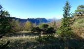 Tocht Stappen Saou - Tour de la Forêt de Saoû - Photo 7