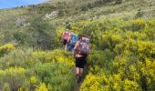 Trail Walking Rougon - TM-Rougon : Mourre du Chanier - Photo 13
