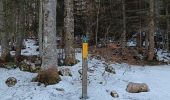 Randonnée Marche Malleval-en-Vercors - Patente - Photo 1