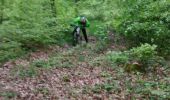 Percorso Mountainbike Saint-Clément - sortie vtt du 1er mai vathimenil Grand rupt  - Photo 4