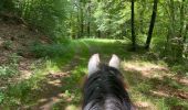 Trail Horseback riding Habay - Les 4 fils saumon à cheval - Photo 11