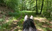 Tocht Paardrijden Habay - Les 4 fils saumon à cheval - Photo 11