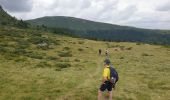 Trail Walking Albepierre-Bredons - Le Plomb du Cantal - Photo 2