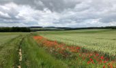 Trail Electric bike Amiens - Amiens Gouy les groseilliers  - Photo 1