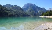 Percorso A piedi Tarvisio - Giro del Lago - Photo 5