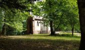 Tour Wandern Vexaincourt - Vosges - Vexaincourt - Lac de la Maix- sentier des myrtilles  - Photo 7