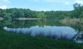 Trail Walking Bossieu - bossieu foret de bonnevaux - Photo 3