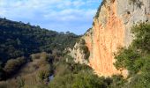 Tour Wandern Le Thoronet - SityTrail - Abbayie de Torronet - Photo 14