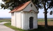 Percorso A piedi Zagersdorf/Cogrštof - Siedlerweg der Poljanci - Photo 8