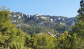 Tour Wandern Cheval-Blanc - Regalon-Canebier-RoqueRousse-Majorque - Photo 5