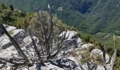 Randonnée Marche Sallagriffon - salagrifon - Photo 5