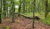 Trail Walking Xonrupt-Longemer - 2024 RA Vosges J2 Du Sotré à la Schlucht - Photo 1