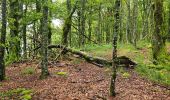 Randonnée Marche Xonrupt-Longemer - 2024 RA Vosges J2 Du Sotré à la Schlucht - Photo 1