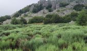 Tour Wandern Le Béage - Loire jour 2  - Photo 9