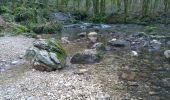 Percorso Camminata nordica Les Planches-près-Arbois - cascades des tufs - Photo 3