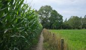 Trail Walking Aubel - A la redÃ©couverte de Val Dieu ð¥¾ - Photo 2