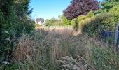 Trail Walking Reugny - Reugny - Vignes et Brenne - Photo 15