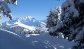 Randonnée Raquettes à neige Hauteluce - Chard-du-Beurre-2021-01-26 - Photo 1