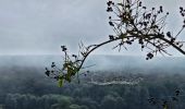 Tocht Stappen Philippeville - Balade de Roly à Villers-en-Fagne - Photo 19