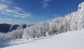 Percorso A piedi Palazzuolo sul Senio - Alte Vie di Firenzuola - Photo 10