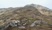 Tour Zu Fuß West Cork - Peakeen Ridge Loop Walk - Photo 9