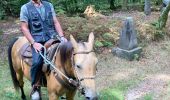 Tocht Paardrijden Badonviller - Grand chêne vierge clarisse  - Photo 11