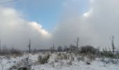 Percorso Marcia Spa - berinzenne entre fagne et bois dans le brouillard - Photo 14