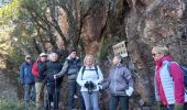 Percorso Marcia Roquebrune-sur-Argens - Grottes de La Bouverie  - Photo 8