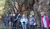 Tocht Stappen Roquebrune-sur-Argens - Grottes de La Bouverie  - Photo 8