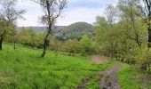 Tocht Stappen Chaudfontaine - autour du bois les dames  - Photo 7