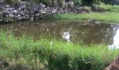 Trail Trail Sainte-Anne - Belle mare liard saint Robert - Photo 1
