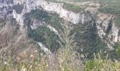 Trail Walking La Palud-sur-Verdon - les malines au point sublime - Photo 17