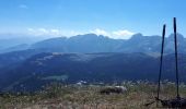 Tour Wandern Glières-Val-de-Borne - Petit Bornand - Pointe d'Andey 29/07/2018 - Photo 3