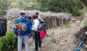 Trail Walking Amélie-les-Bains-Palalda - Amélie les Bains - Roc de la Campana - Photo 13