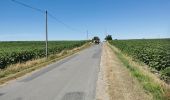 Trail Electric bike Tonnay-Charente - Tonnay-Charente - Photo 19