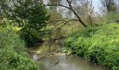 Tour Wandern Huldenberg - Huldenberg Terlanen site naturel Lasne - Photo 15