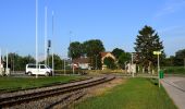 Tour Zu Fuß Gemeinde Mistelbach - MistelbachAktivRing - Photo 4